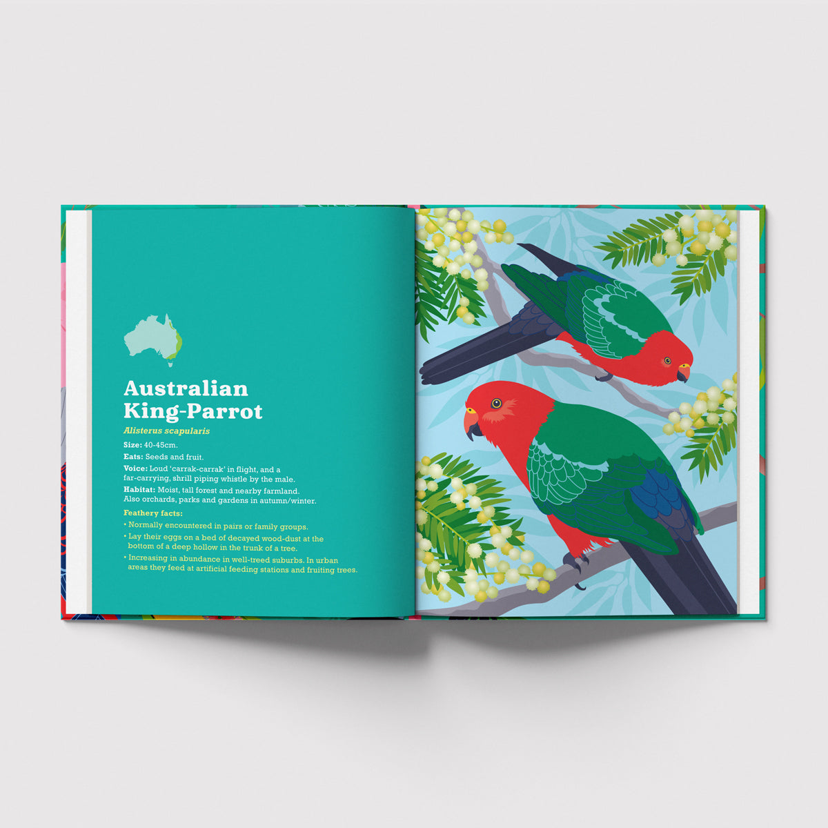 Birds in my Australian Back Yard hardcover picture book by Sarah Epstein.