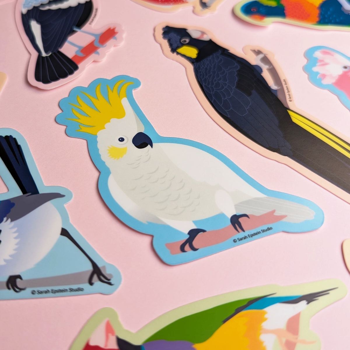 Sulphur-crested Cockatoo die-cut vinyl sticker by Sarah Epstein Studio.