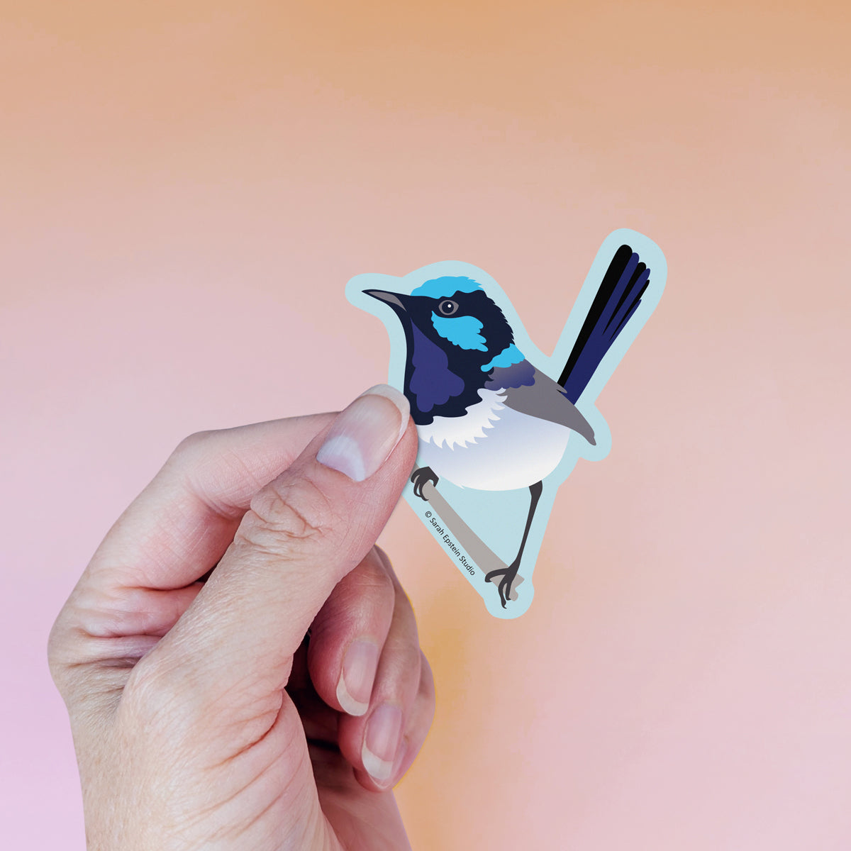 Superb Fairy-wren die-cut vinyl sticker by Sarah Epstein Studio.