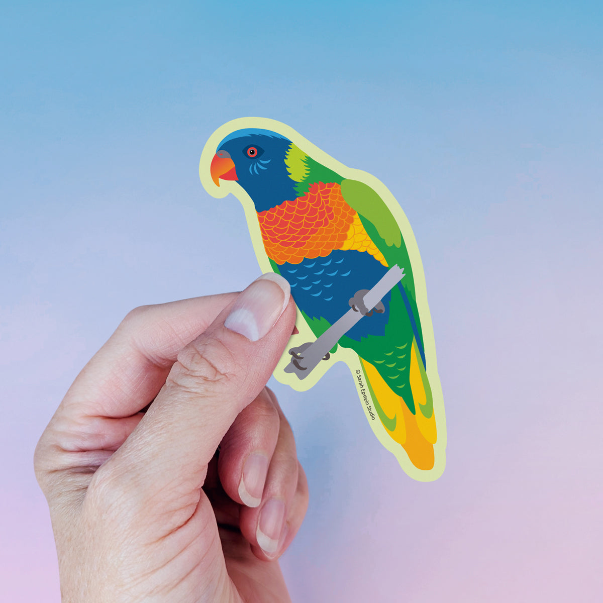 Rainbow Lorikeet die-cut vinyl sticker by Sarah Epstein Studio.
