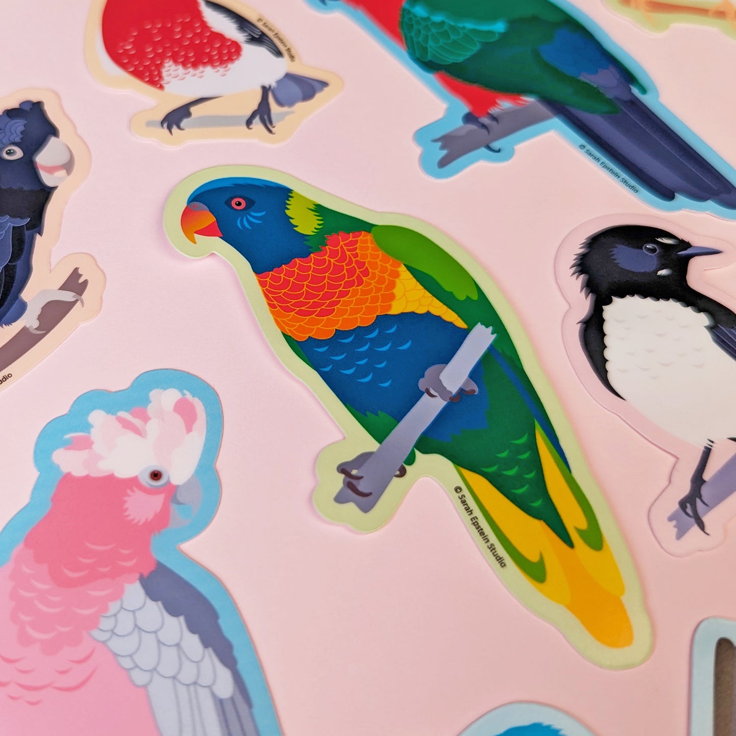 Rainbow Lorikeet die-cut vinyl sticker by Sarah Epstein Studio.