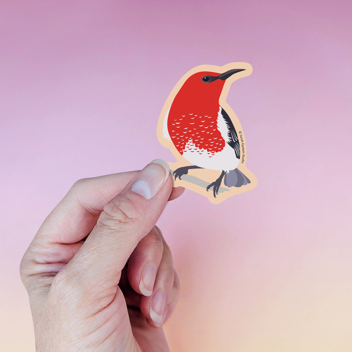 Scarlet Honeyeater die-cut vinyl sticker by Sarah Epstein Studio.