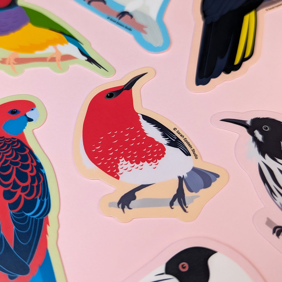 Scarlet Honeyeater die-cut vinyl sticker by Sarah Epstein Studio.