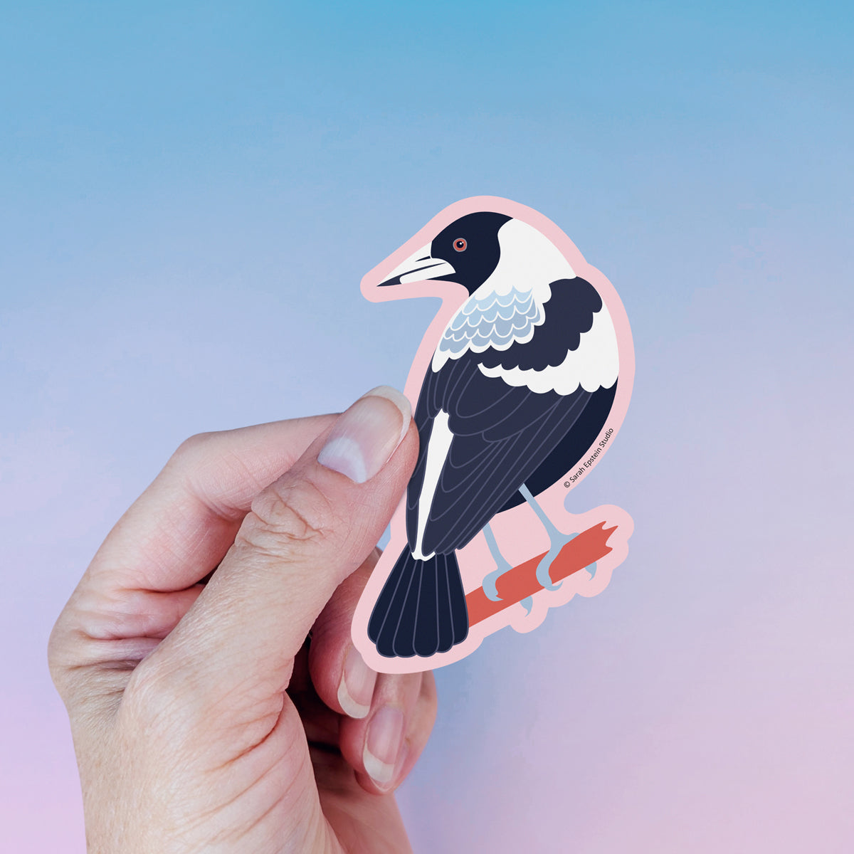 Australian Magpie die-cut vinyl sticker by Sarah Epstein Studio.