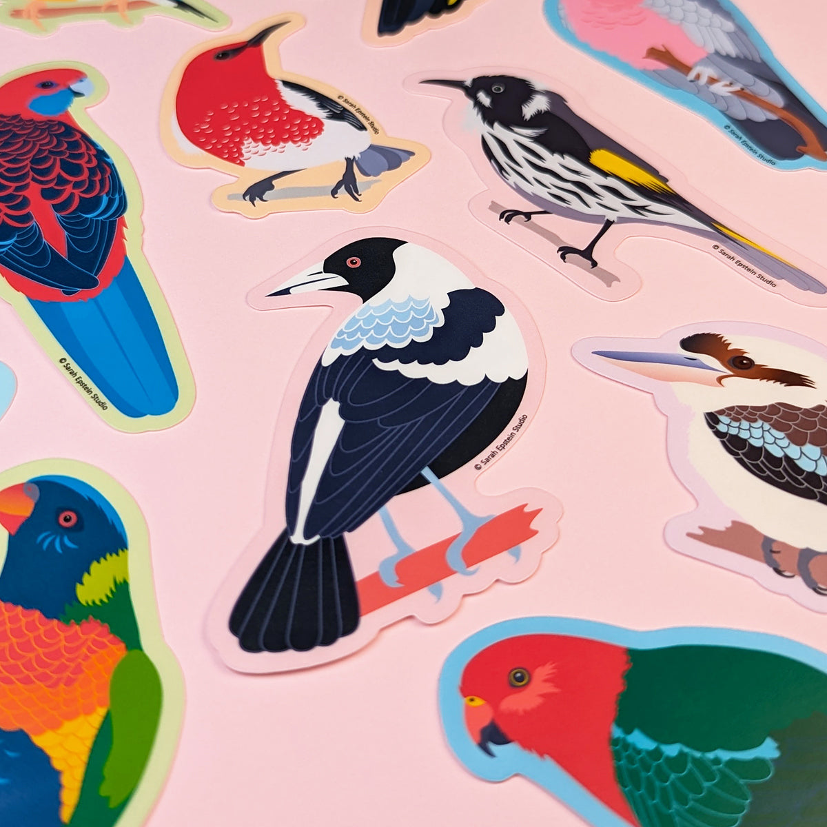 Australian Magpie die-cut vinyl sticker by Sarah Epstein Studio.