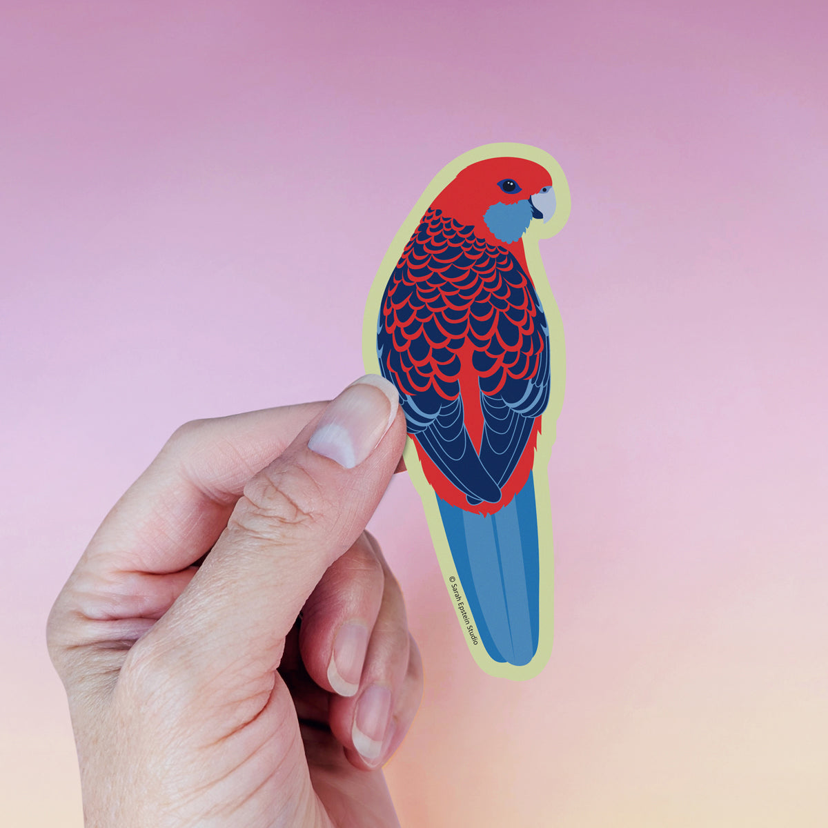 Crimson Rosella die-cut vinyl sticker by Sarah Epstein Studio.