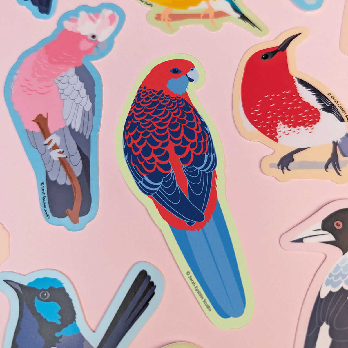 Crimson Rosella die-cut vinyl sticker by Sarah Epstein Studio.