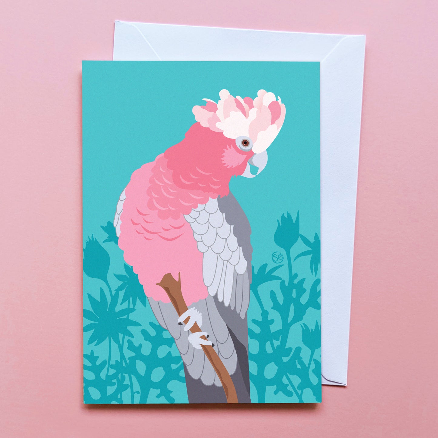 Galah greeting card by Sarah Epstein Studio.