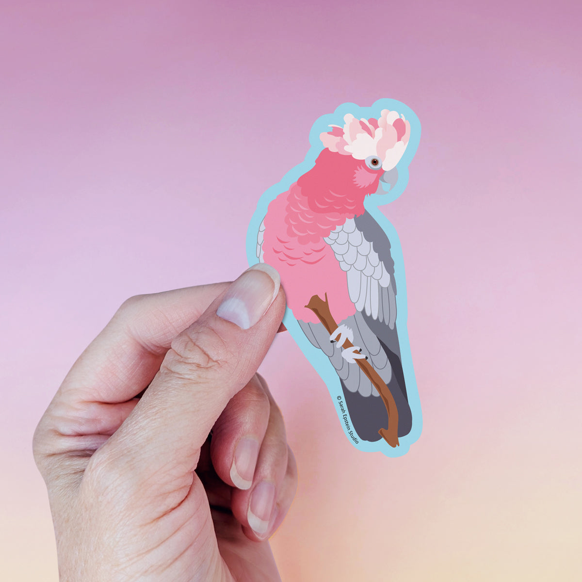 Galah die-cut vinyl sticker by Sarah Epstein Studio.