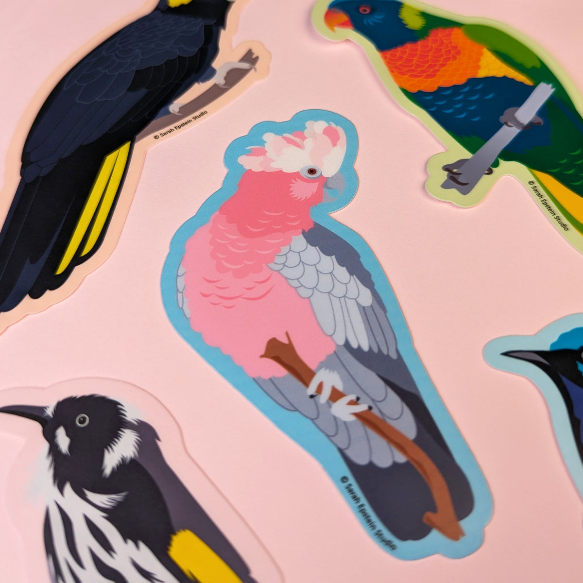 Galah die-cut vinyl sticker by Sarah Epstein Studio.