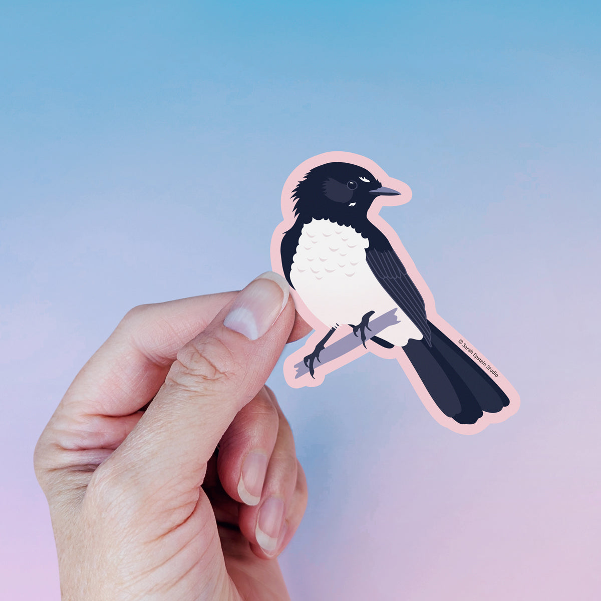 Willie Wagtail die-cut vinyl sticker by Sarah Epstein Studio.