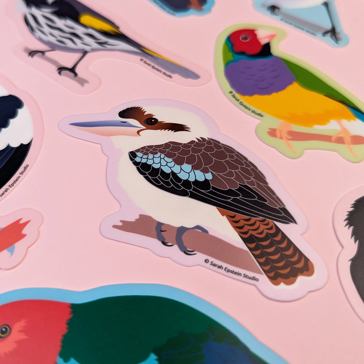 Laughing Kookaburra die-cut vinyl sticker by Sarah Epstein Studio.