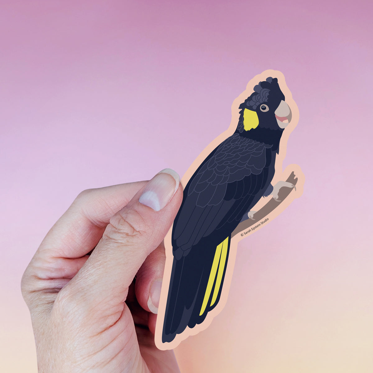 Yellow-tailed Black Cockatoo die-cut vinyl sticker by Sarah Epstein Studio.