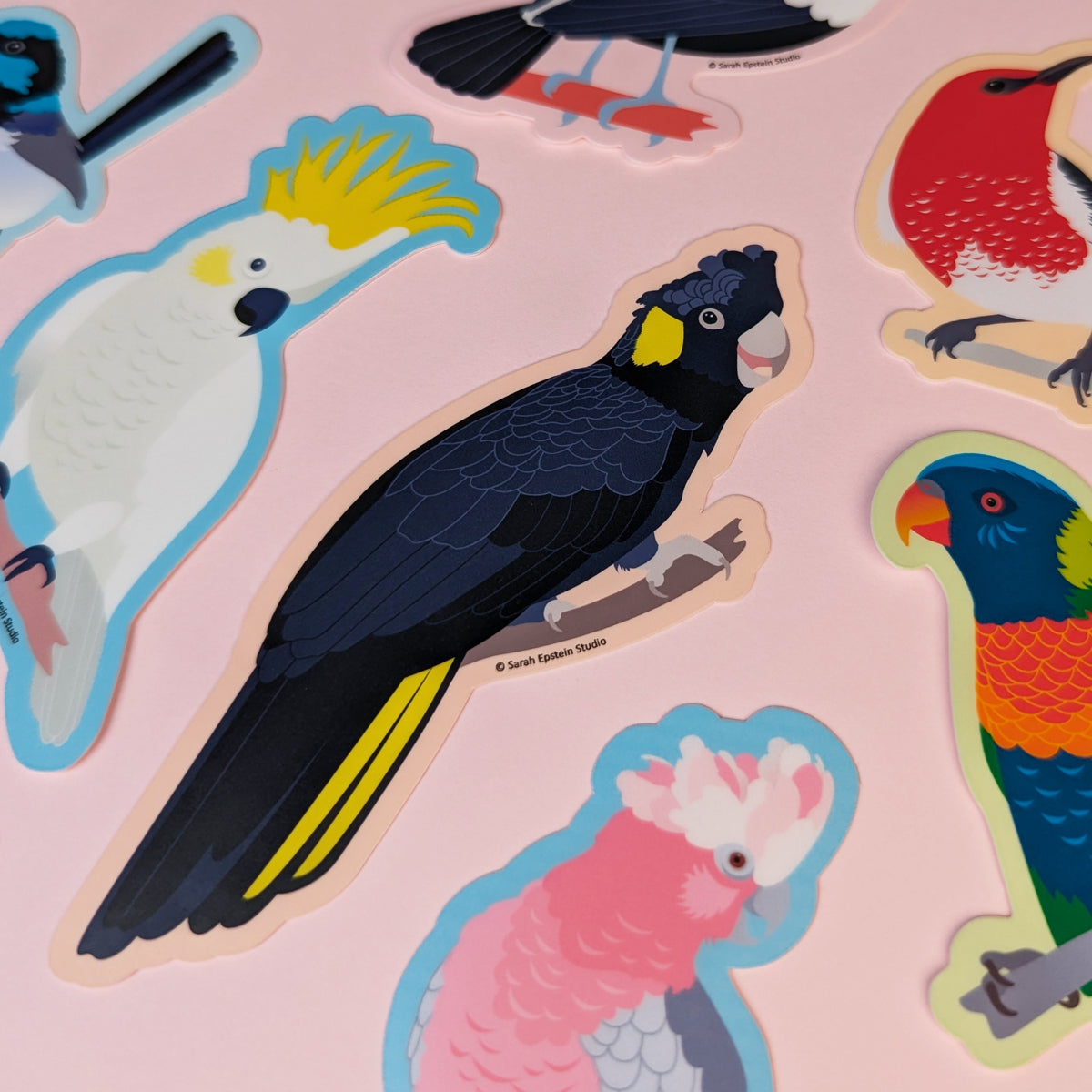 Yellow-tailed Black Cockatoo die-cut vinyl sticker by Sarah Epstein Studio.
