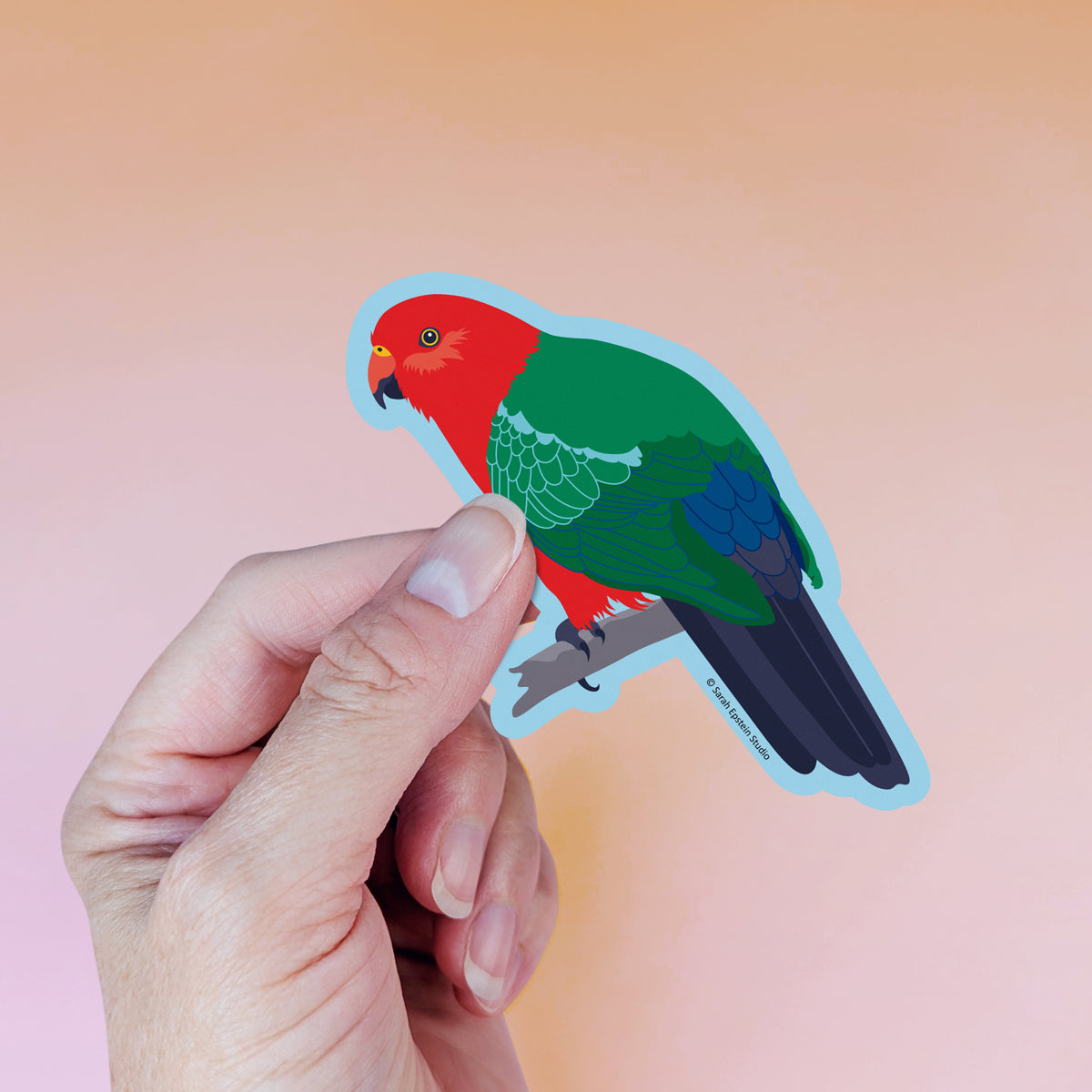 Australian King Parrot die-cut vinyl sticker by Sarah Epstein Studio.