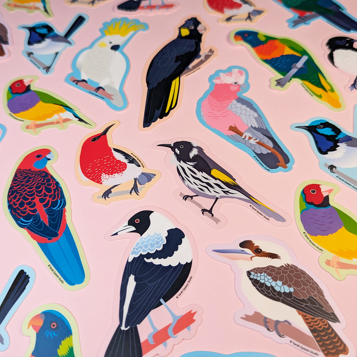 Australian birds die-cut vinyl stickers by Sarah Epstein Studio.