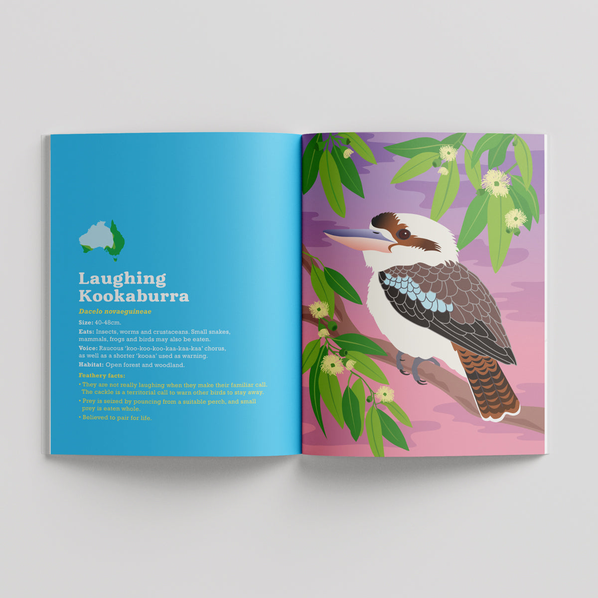 Birds in my Australian Back Yard paperback picture book by Sarah Epstein.