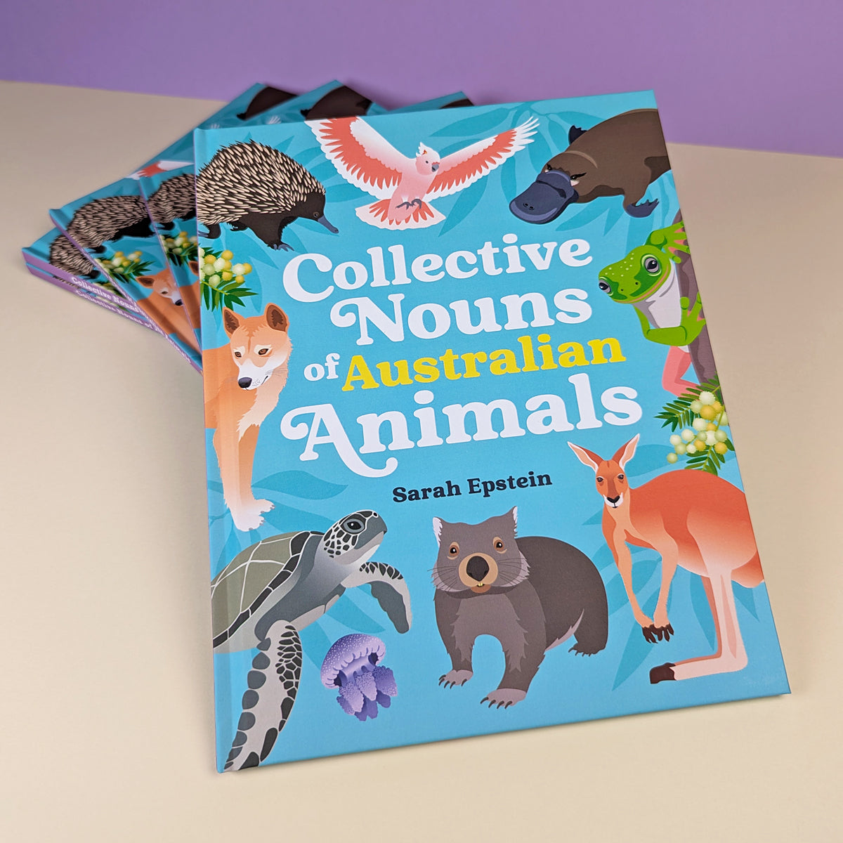 Collective Nouns of Australian Animals hardcover picture book by Sarah Epstein