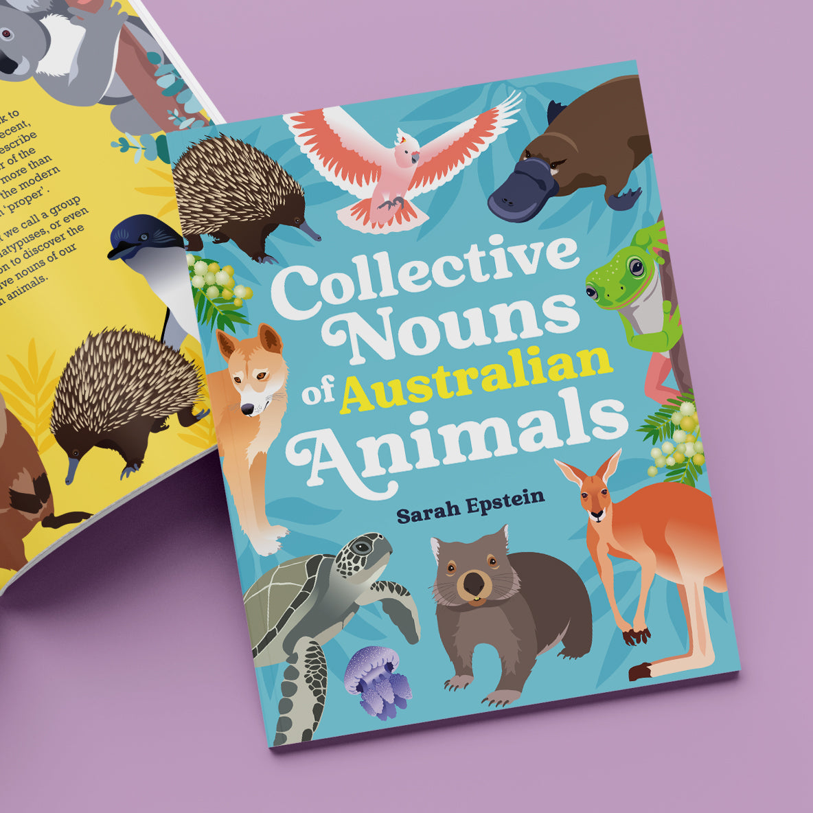 Collective Nouns of Australian Animals paperback picture book by Sarah Epstein