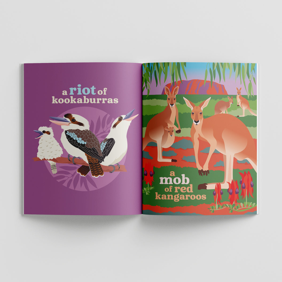 Collective Nouns of Australian Animals paperback picture book by Sarah Epstein