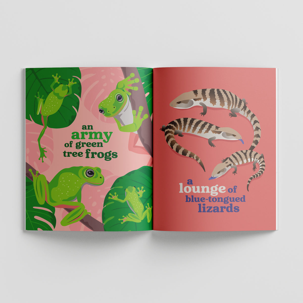 Collective Nouns of Australian Animals paperback picture book by Sarah Epstein