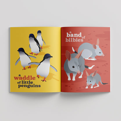 Collective Nouns of Australian Animals paperback picture book by Sarah Epstein
