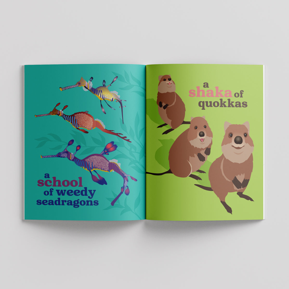 Collective Nouns of Australian Animals paperback picture book by Sarah Epstein