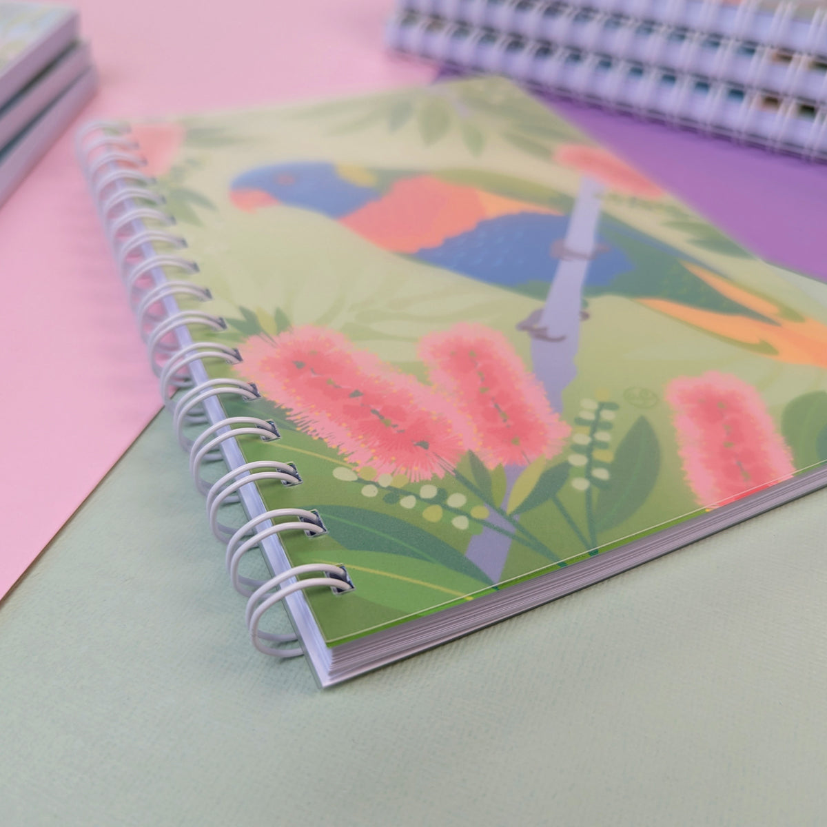 Rainbow Lorikeet A5 notebook by Sarah Epstein Studio.