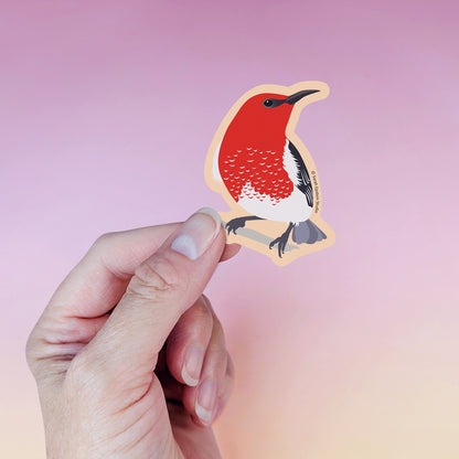 Scarlet Honeyeater die-cut vinyl sticker by Sarah Epstein Studio.
