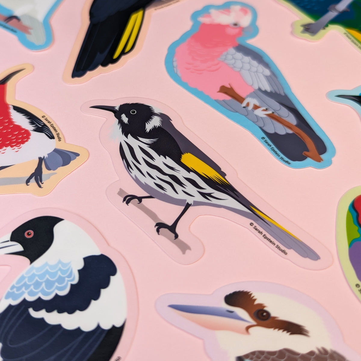New Holland Honeyeater die-cut vinyl sticker by Sarah Epstein Studio.